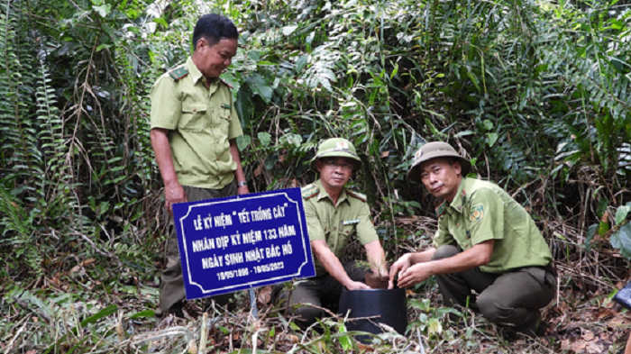 Ban quản lý khu bảo tồn loài sinh cảnh Thông nước hưởng ứng Tết trồng cây nhớ ơn Bác Hồ